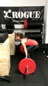 Langhanteltraining Krafttraining Kontakt