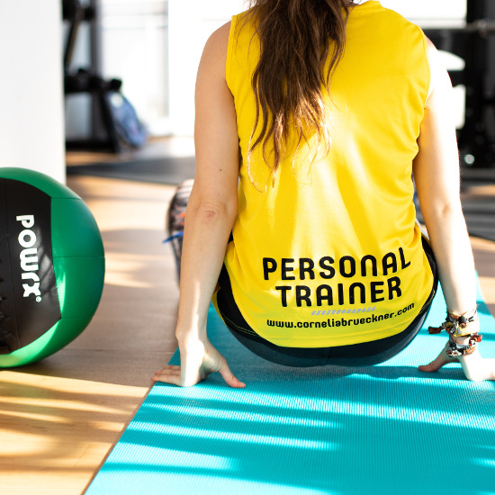 Personal Training Wallball Russian Twists Kontakt